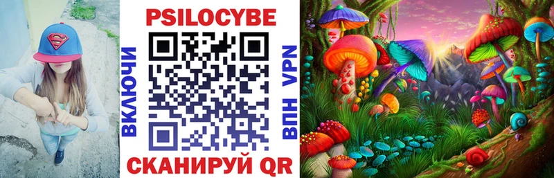Псилоцибиновые грибы прущие грибы  даркнет сайт  Новороссийск 