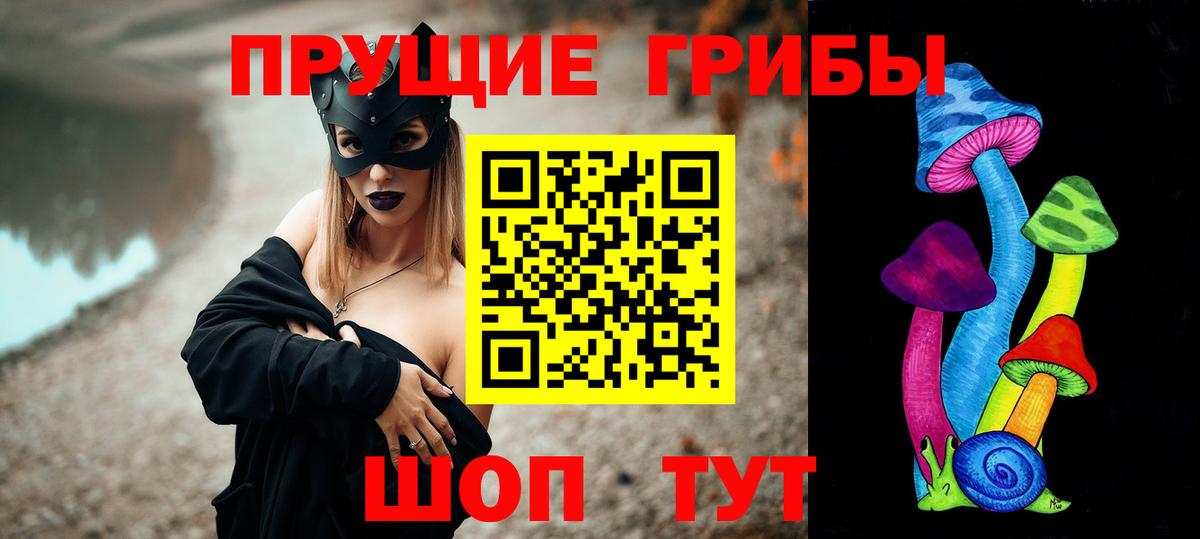 Новороссийск  Галлюциногенные грибы мицелий  Псилоцибиновые грибы Cubensis  Вход с VPN 