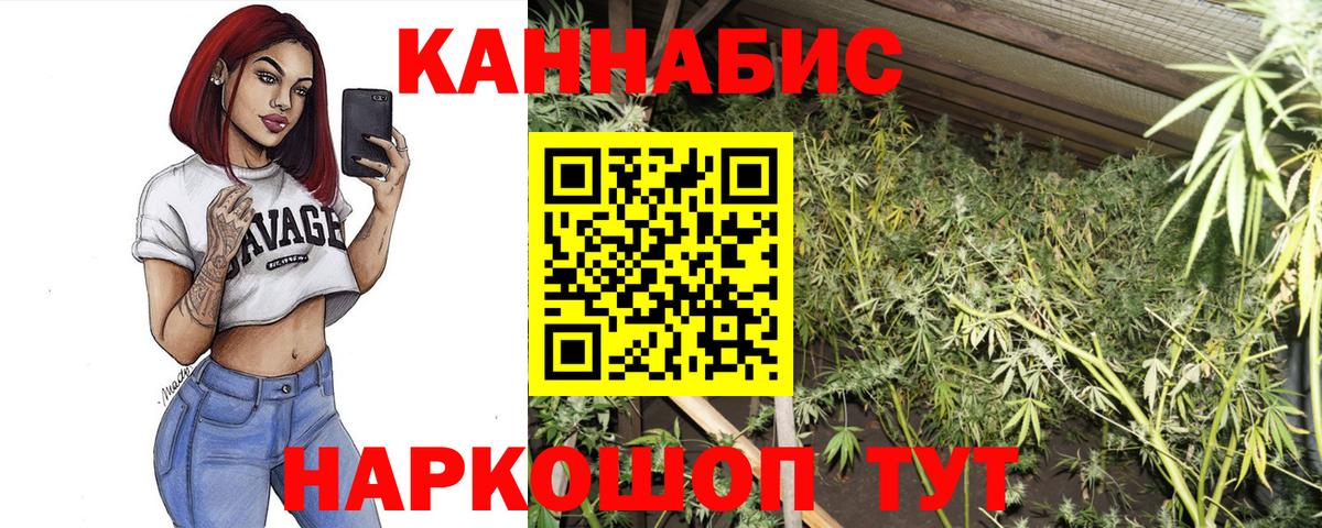 Каннабис AK-47 Новороссийск